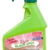 Sharp Shooter Rose Black Spot & Insect Spray 750ml -Plant Care Shop 2347342 0 4