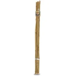 Gardman Bamboo Cane 0.6m - 20 Pack