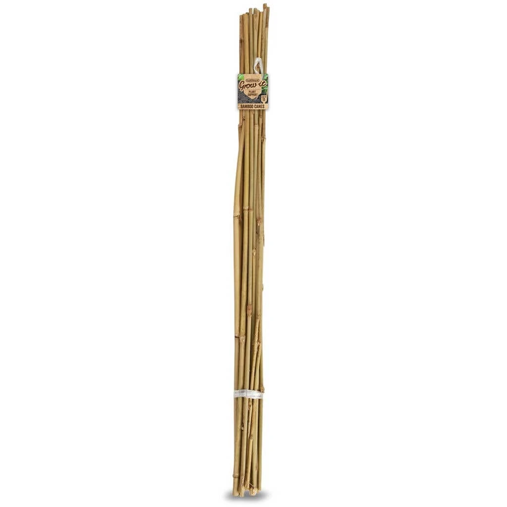 Gardman Bamboo Cane 0.6m - 20 Pack 3 Gardman Bamboo Cane 0.6m - 20 Pack