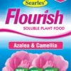 Searles Flourish Azalea Camellia & Gardenia 500g 1 Searles Flourish Azalea Camellia & Gardenia 500g -Plant Care Shop 2549897 0 2