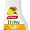 Yates Thrive Citrus Liquid Fertilizer 500mL 1 Yates Thrive Citrus Liquid Fertilizer 500mL -Plant Care Shop 2595239 0 2