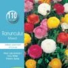 Mr Fothergill's Bulbs Bumper Ranunculus Mixed -Plant Care Shop 2771376