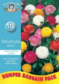 Mr Fothergill's Bulbs Bumper Ranunculus Mixed