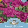 Mr Fothergill's Bulbs Freesia Double Purple Rain 8 Bulbs 1 Mr Fothergill's Bulbs Freesia Double Purple Rain 8 Bulbs -Plant Care Shop 2815942
