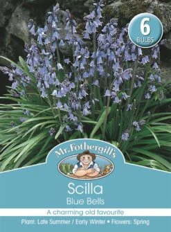 Mr Fothergill's Bulbs Scilla Blue Bells 6 Bulbs