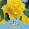 Mr Fothergill's Bulbs Daffodil Dick Wilden 4 Bulbs 2 Mr Fothergill's Bulbs Daffodil Dick Wilden 4 Bulbs -Plant Care Shop 2816718