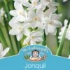 Mr Fothergill's Bulbs Jonquil Paperwhite 5 Bulbs 1 Mr Fothergill's Bulbs Jonquil Paperwhite 5 Bulbs -Plant Care Shop 2816866