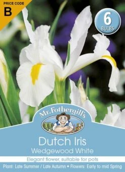 Mr Fothergill's Bulbs Dutch Iris Wedgewood White 6 Bulbs