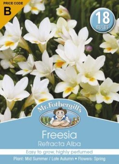 Mr Fothergill's Bulbs Freesia Refracta Alba 18 Bulbs