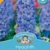 Mr Fothergill's Bulbs Hyacinth Delft Blue