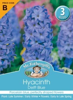 Mr Fothergill's Bulbs Hyacinth Delft Blue