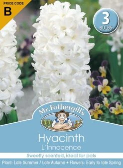 Mr Fothergill's Bulbs Hyacinth Linnocence White 3 Bulbs