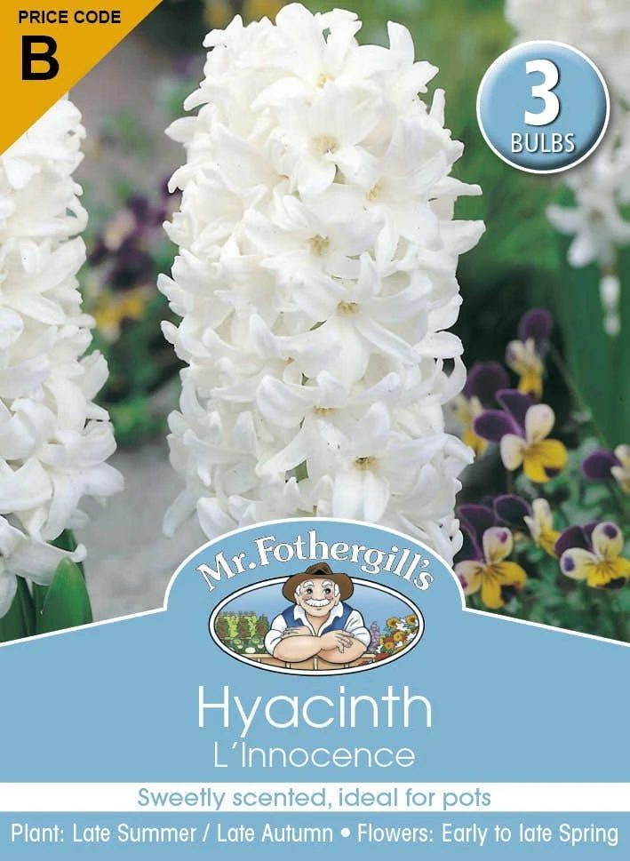 Mr Fothergill's Bulbs Hyacinth Linnocence White 3 Bulbs 2 Mr Fothergill's Bulbs Hyacinth Linnocence White 3 Bulbs