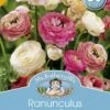 Mr Fothergill's Bulbs Ranunculus Romantic Past 30 Bulbs