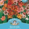 Mr Fothergill's Bulbs Sparaxis Harlequin Flowers 15 Bulbs 1 Mr Fothergill's Bulbs Sparaxis Harlequin Flowers 15 Bulbs -Plant Care Shop 2817104