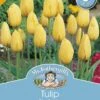 Mr Fothergill's Bulbs Tulip Big Smile 3 Bulbs -Plant Care Shop 2817138