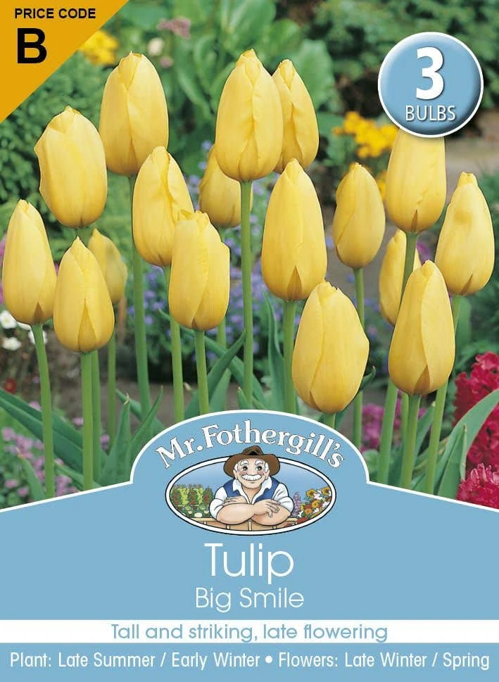 Mr Fothergill's Bulbs Tulip Big Smile 3 Bulbs 3 Mr Fothergill's Bulbs Tulip Big Smile 3 Bulbs