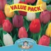 Mr Fothergill's Bulbs Tulip Mixed 6 Bulbs 1 Mr Fothergill's Bulbs Tulip Mixed 6 Bulbs -Plant Care Shop 2817237