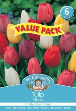 Mr Fothergill's Bulbs Tulip Mixed 6 Bulbs