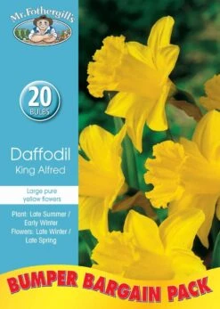 Mr Fothergill's Bulbs Daffodil King Alfred 20 Bulbs