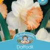 Mr Fothergill's Bulbs Daffodil Shirley Ann -Plant Care Shop 2817450