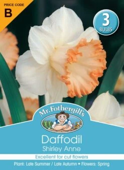 Mr Fothergill's Bulbs Daffodil Shirley Ann
