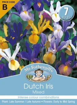 Mr Fothergill's Bulbs Dutch Iris Mixed 7 Bulbs