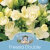 Mr Fothergill's Bulbs Freesia Double White Angel 8 Bulbs -Plant Care Shop 2817534
