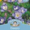 Mr Fothergill's Bulbs Freesia Royal Blue 18 Bulbs