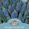 Mr Fothergill's Bulbs Grape Hyacinth Heavenly Blue 15 Bulbs -Plant Care Shop 2817583