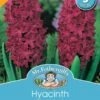 Mr Fothergill's Bulbs Hyacinth Woodstock -Plant Care Shop 2817609