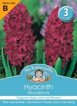 Mr Fothergill's Bulbs Hyacinth Woodstock