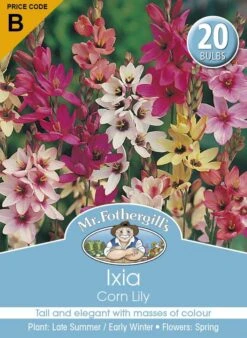 Mr Fothergill's Bulbs Ixiacorn Lily