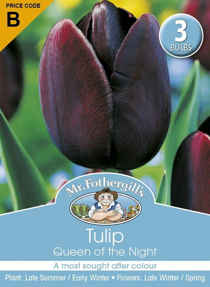 Mr Fothergill's Bulbs Tulip Queen Of The Night 3 Bulbs 3 Mr Fothergill's Bulbs Tulip Queen Of The Night 3 Bulbs
