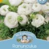 Mr Fothergill's Bulbs Ranunculus White Cloud 30 Bulbs -Plant Care Shop 2817724