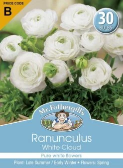 Mr Fothergill's Bulbs Ranunculus White Cloud 30 Bulbs
