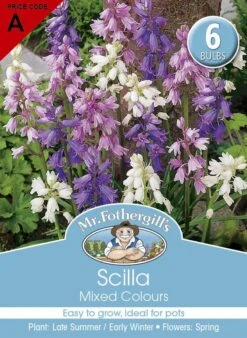Mr Fothergill's Bulbs Scilla Mixed 6 Bulbs