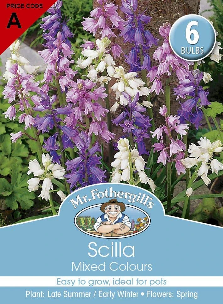 Mr Fothergill's Bulbs Scilla Mixed 6 Bulbs 3 Mr Fothergill's Bulbs Scilla Mixed 6 Bulbs