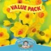 Mr Fothergill's Bulbs Jonquil Soleil D'Or -Plant Care Shop 2817856