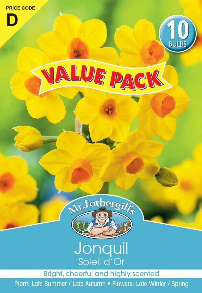 Mr Fothergill's Bulbs Jonquil Soleil D'Or 3 Mr Fothergill's Bulbs Jonquil Soleil D'Or