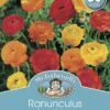 Mr Fothergill's Bulbs Ranunculus Sunset 25 Bulbs -Plant Care Shop 2818359