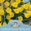 Mr Fothergill's Bulbs Daffodil Hoop Petticoat Yellow 6 Bulbs -Plant Care Shop 2818623