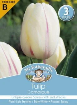 Mr Fothergill's Bulbs Tulip Camargue 3 Bulbs