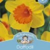 Mr Fothergill's Bulbs Daffodil Homefires 5 Bulbs -Plant Care Shop 3701877