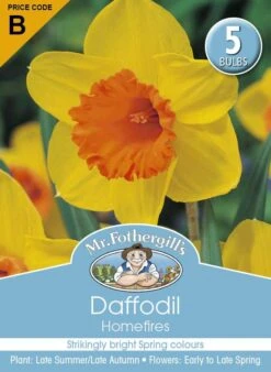 Mr Fothergill's Bulbs Daffodil Homefires 5 Bulbs