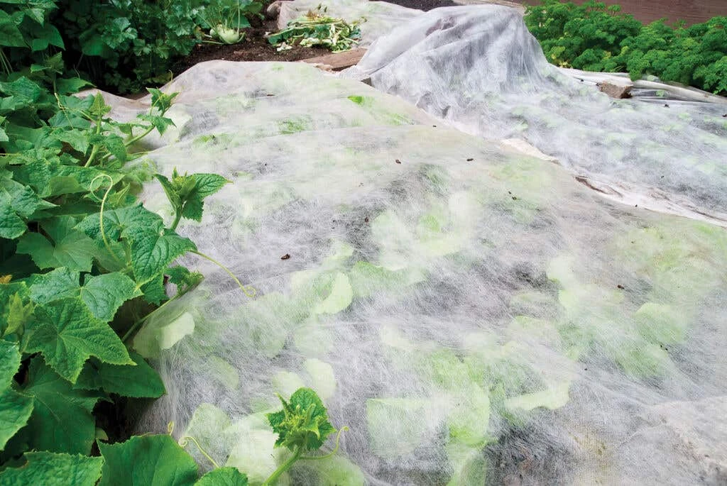 Coolaroo Frost Cloth White 0.9 X 20m 4 Coolaroo Frost Cloth White 0.9 X 20m - Image 2