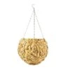 Garden Trend Globe Hyacinth Hanging Basket 300mm -Plant Care Shop 4301586 0
