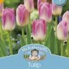 Mr Fothergill's Bulbs Tulip Dynasty 4 Bulbs 1 Mr Fothergill's Bulbs Tulip Dynasty 4 Bulbs -Plant Care Shop 4833752