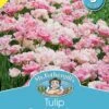 Mr Fothergill's Bulbs Tulip Double Angelique 1 Mr Fothergill's Bulbs Tulip Double Angelique -Plant Care Shop 4834008