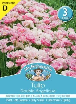 Mr Fothergill's Bulbs Tulip Double Angelique
